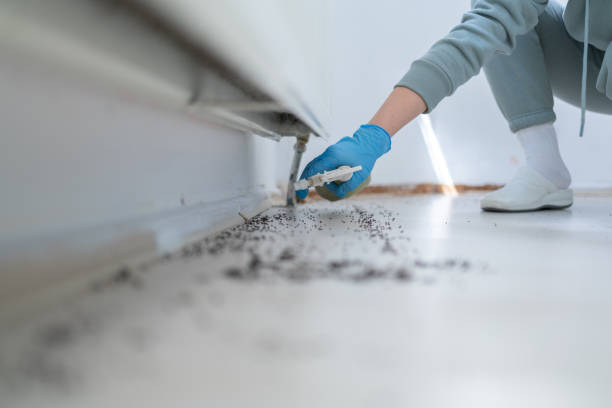 Reliable Kekoskee, WI Pest Control Solutions